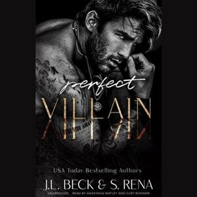 Perfect Villain: A Dark Stalker Mafia Romance