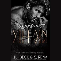 Perfect Villain: A Dark Stalker Mafia Romance