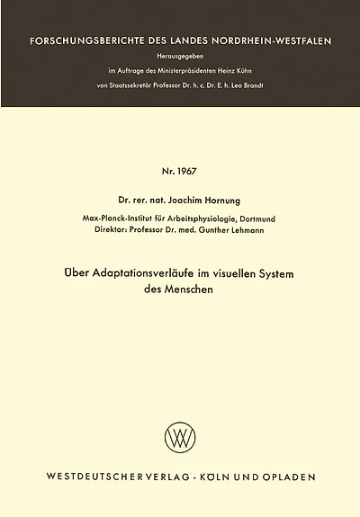Über Adaptationsverläufe im visuellen System des Menschen