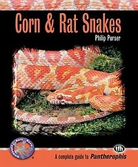 Corn & Rat Snakes: A Complete Guide To Pantherophis
