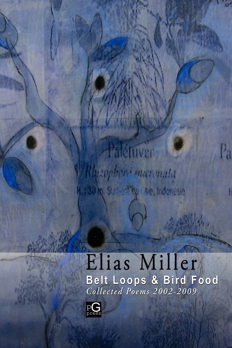 Belt Loops & Bird Food, Collected Poems 2002 - 2009