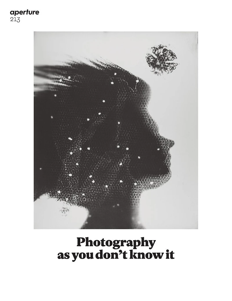 Photography As You Don't Know It: Aperture 213