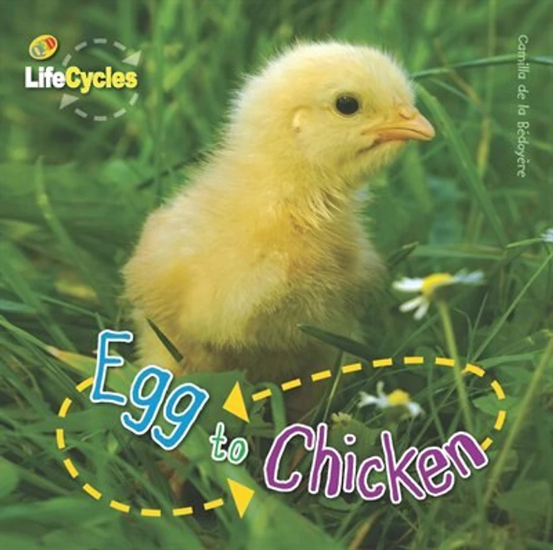 Egg To Chicken