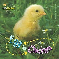 Egg To Chicken