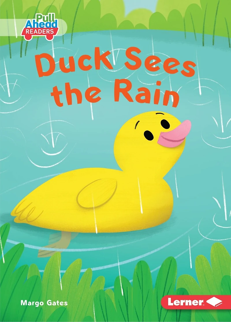 Duck Sees the Rain