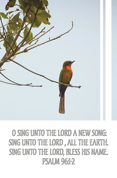 General Worship Bulletin: Sing Unto The Lord (Package of 100): Psalm 96:1-2 (KJV)