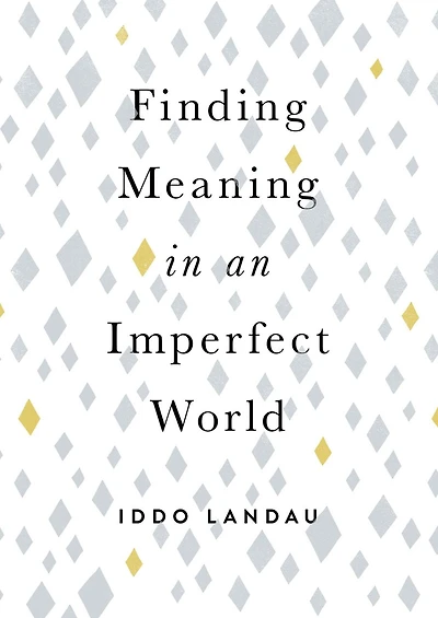 Finding Meaning An Imperfect World