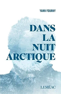 Dans la nuit arctique