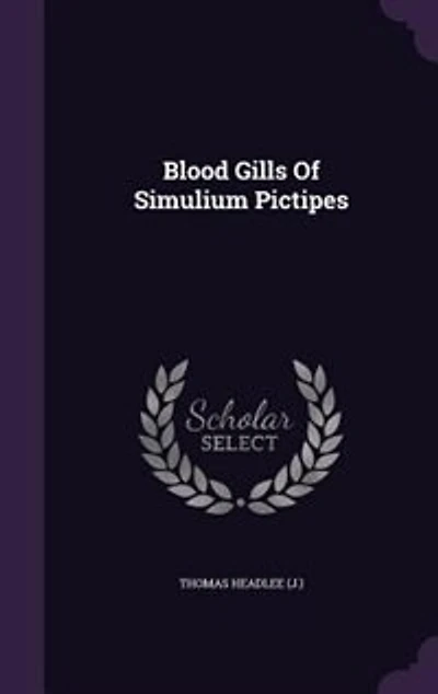 Blood Gills Of Simulium Pictipes