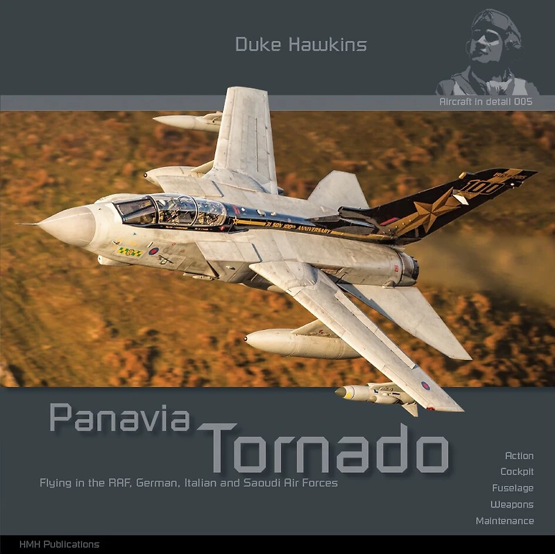 Panavia Tornado: Aircraft In Detail