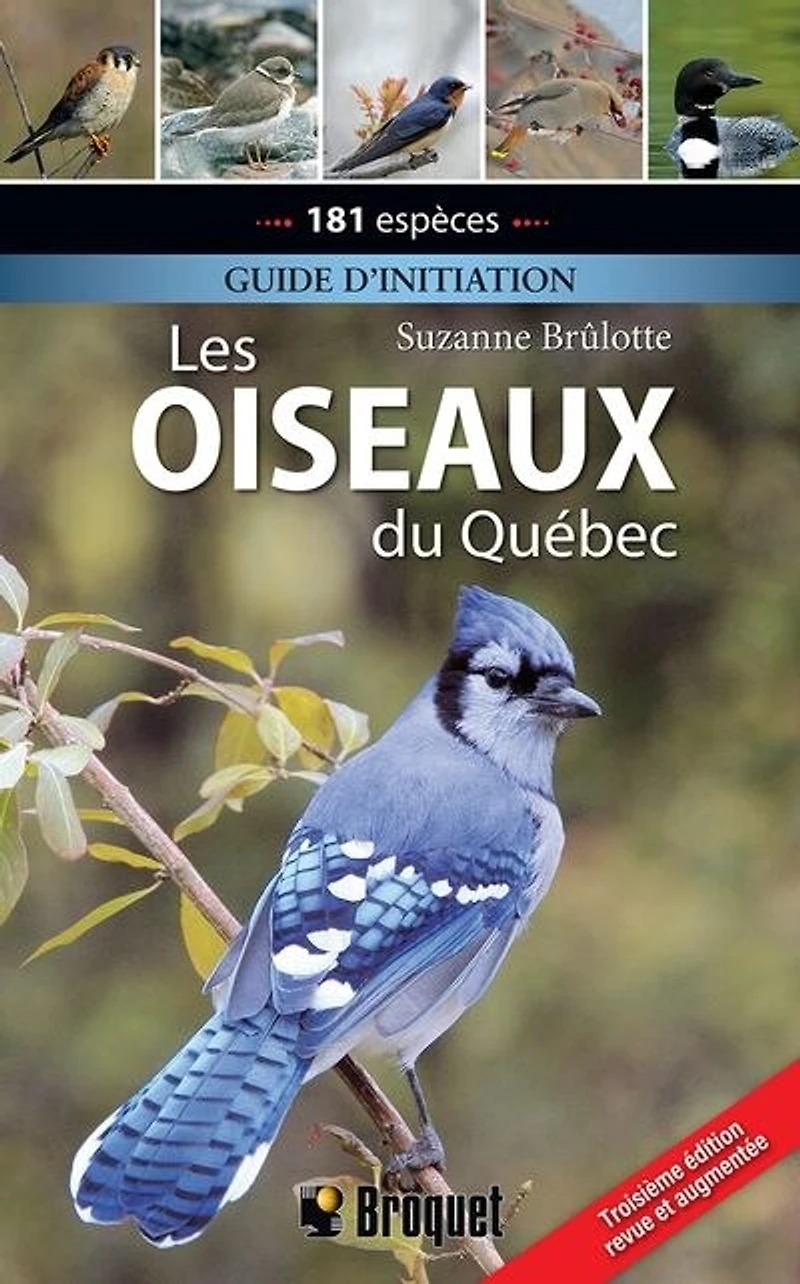 Les oiseaux du Québec: Guide d'initiation