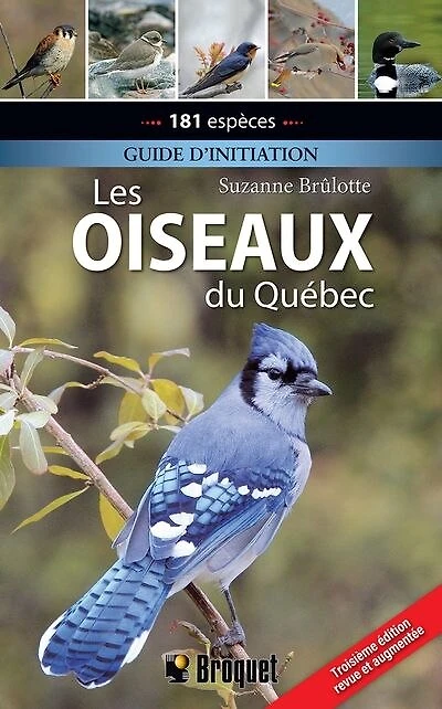 Les oiseaux du Québec: Guide d'initiation