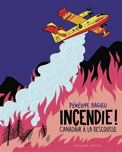 Incendie ! Canadairs à la rescousse