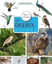 Les oiseaux: quiz, jeux et p'tites infos
