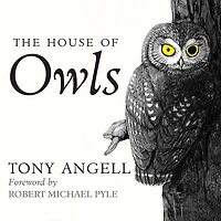 The House of Owls Lib/E