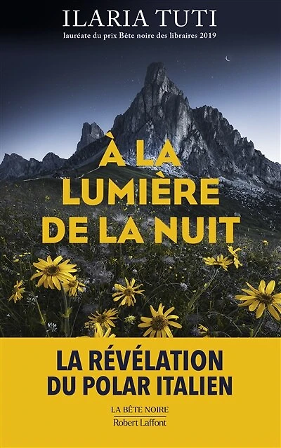 A la lumière de nuit