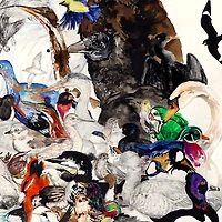 10,000 Birds: Volume 1