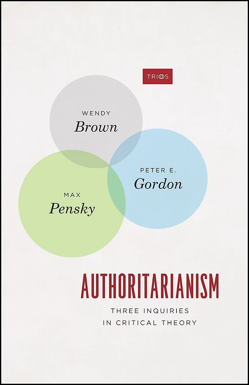 Authoritarianism: Three Inquiries Critical Theory