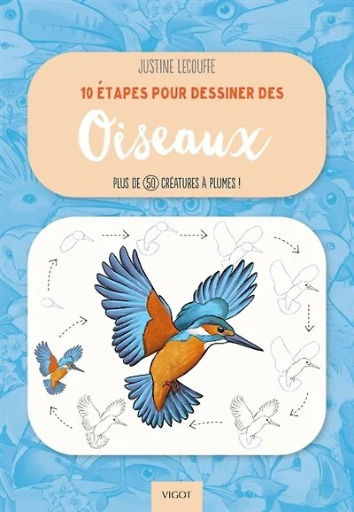 10 étapes pour dessiner des oiseaux: plus de 50 créatures à plumes !