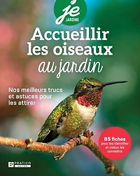Accueillir les oiseaux au jardin: Nos meilleurs trucs et astuces pour attirer