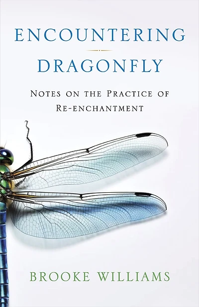 Encountering Dragonfly: Notes on the Practice of Re-enchantment