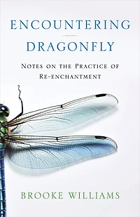 Encountering Dragonfly: Notes on the Practice of Re-enchantment