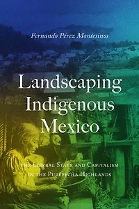 Landscaping Indigenous Mexico: the Liberal State and Capitalism Purépecha Highlands