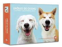 Drôles de chiens: l'agenda-calendrier 2022