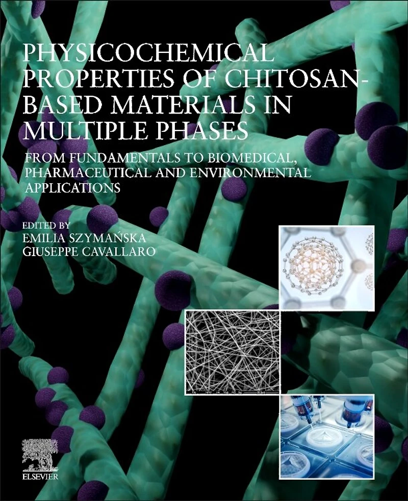 Physicochemical Properties of Chitosan-Based Materials Multiple Phases: From Fundamentals to Biomedical, Pharmaceutical and Environmental Applications