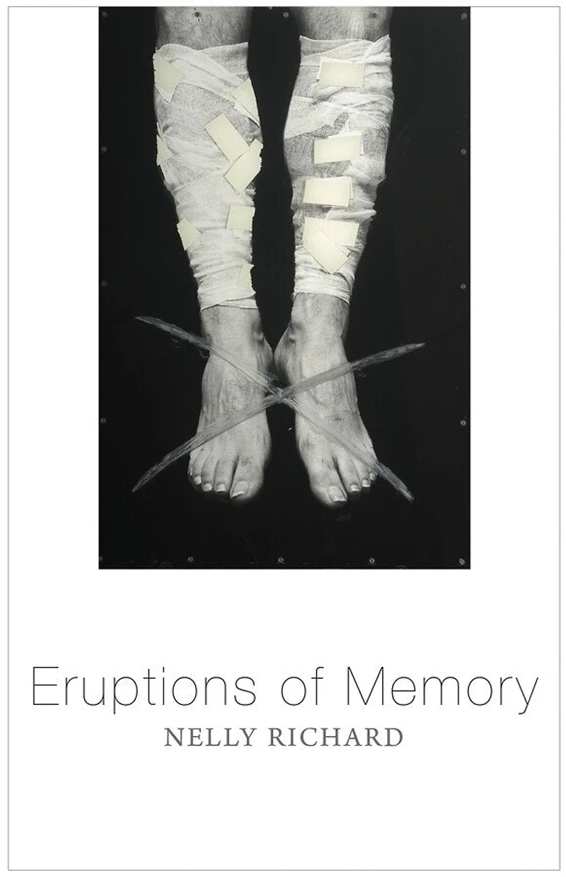 Eruptions of Memory: The Critique Memory Chile, 1990-2015