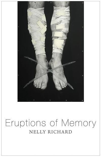 Eruptions of Memory: The Critique Memory Chile, 1990-2015