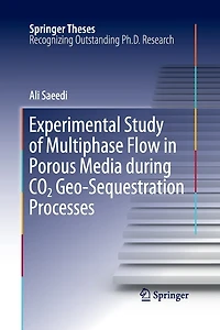 Experimental Study of Multiphase Flow Porous Media during CO2 Geo-Sequestration Processes