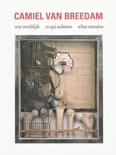 Camiel Van Breedam: ce qui subsiste