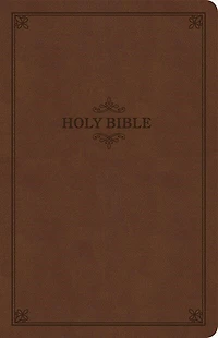 KJV Thinline Bible, Value Edition, Soft Pink LeatherTouch