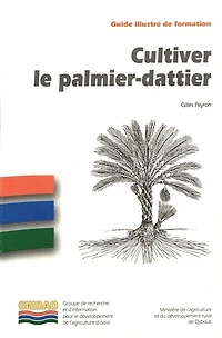 Cultiver le palmier-dattier