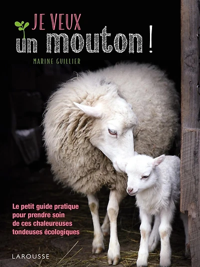 JE VEUX UN MOUTON