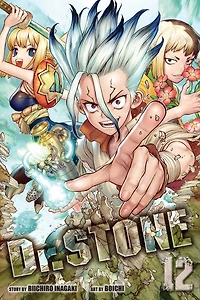 Dr. STONE, Vol. 12: The Secret Of Petrification