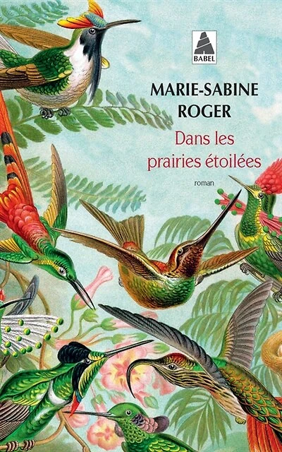 Dans les prairies étoilées