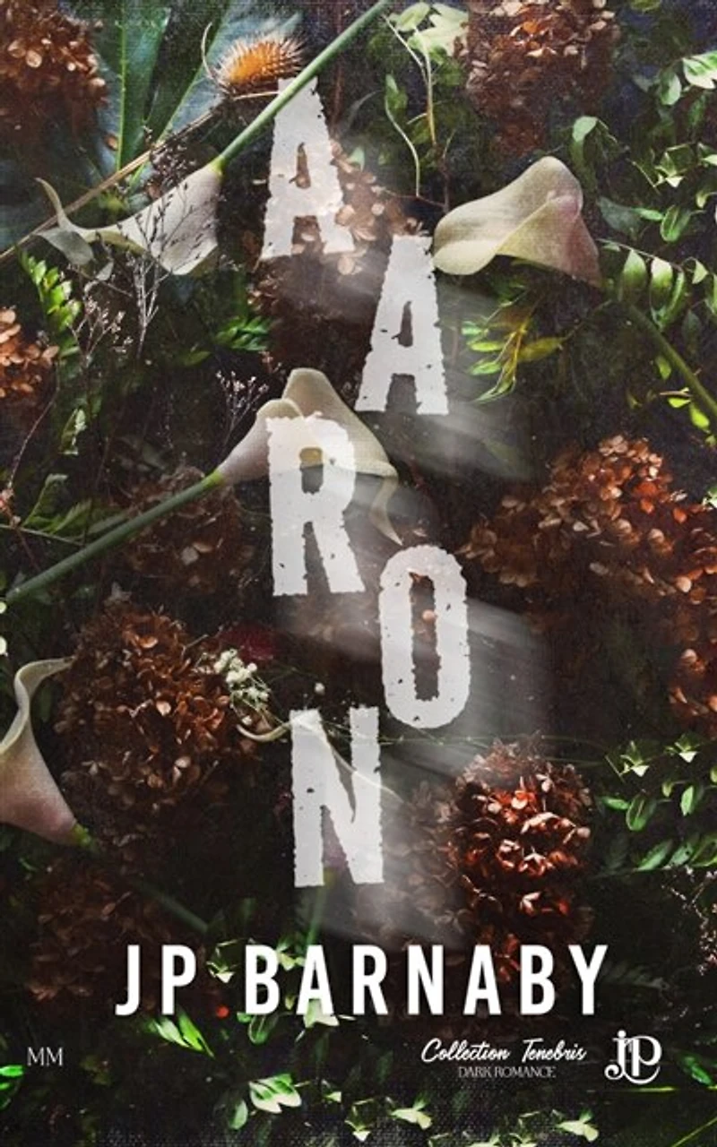 Aaron: Histoire d'un survivant #1