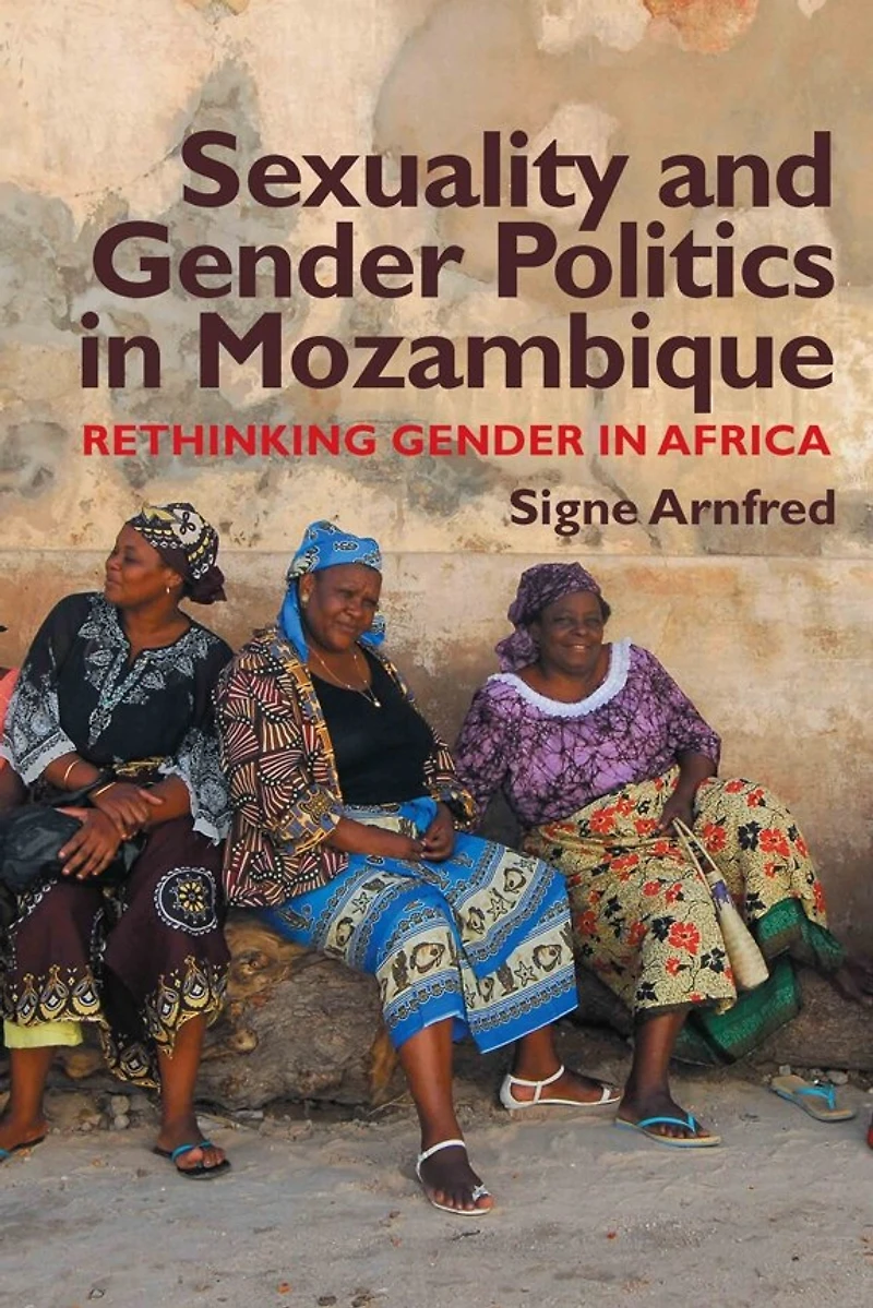 Sexuality and Gender Politics Mozambique: Re-thinking Africa