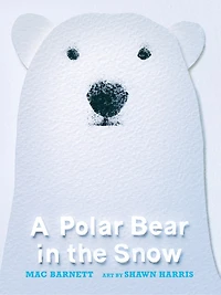 A Polar Bear the Snow