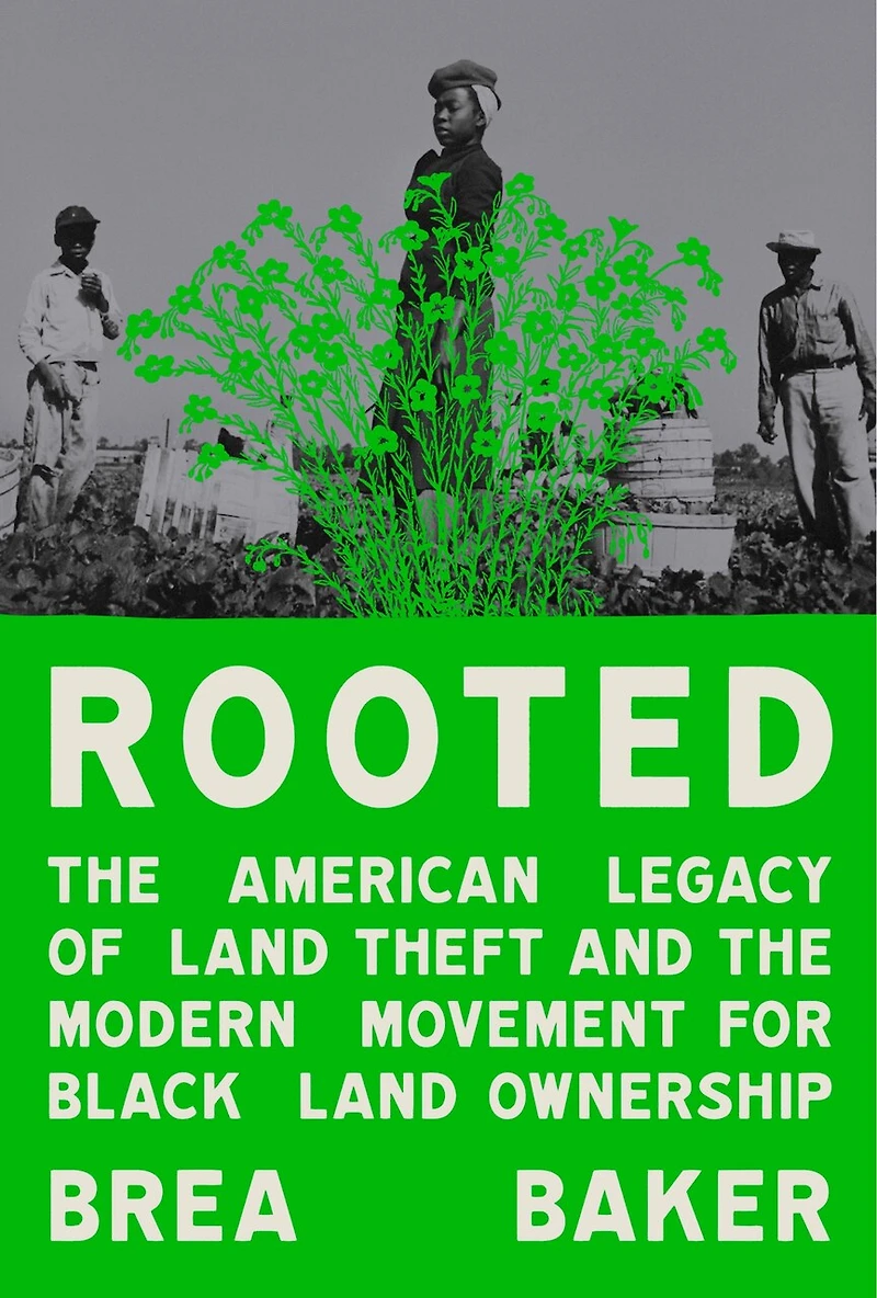 Rooted: the American Legacy of Land Theft and Modern Movement for Black Ownership