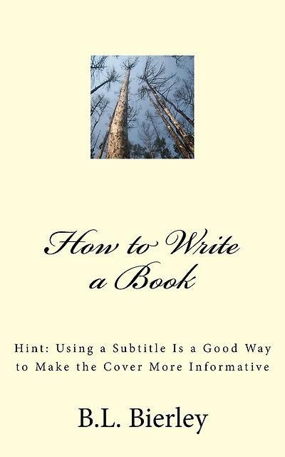 How to Write a Book: Hint: Using a b029 Is a Good Way to Make the Cover More Informative