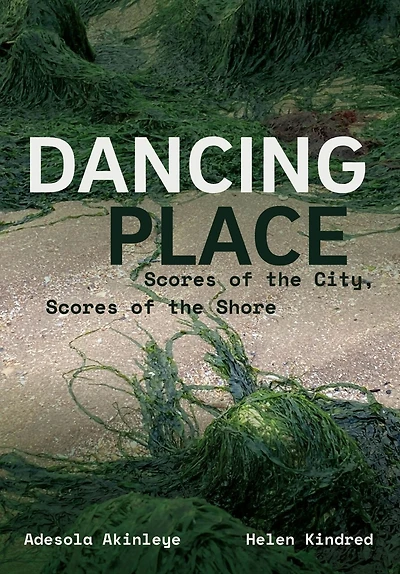 Dancing Place: Scores of the City, Shore