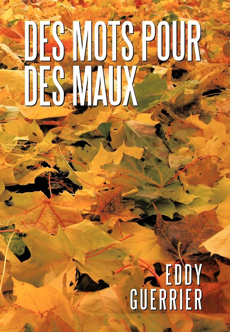 Des Mots Pour Maux