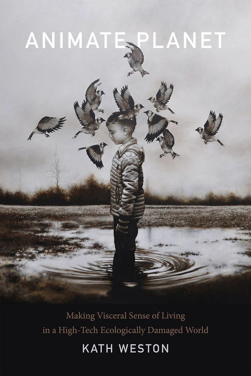 Animate Planet: Making Visceral Sense Of Living A High-tech Ecologically Damaged World