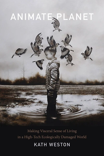 Animate Planet: Making Visceral Sense Of Living A High-tech Ecologically Damaged World