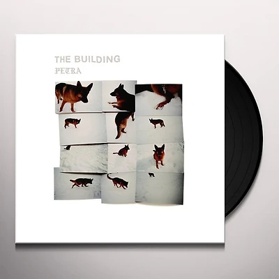 Petra by The Building (1 LP)