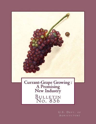 Currant-Grape Growing: A Promising New Industry: Bulletin No. 856