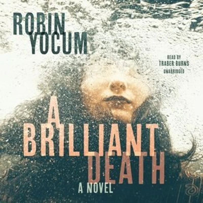A Brilliant Death: Novel
